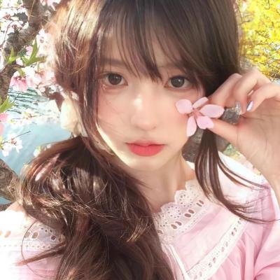 候鸟之爱